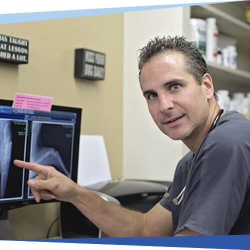 Dr. Brian Foye