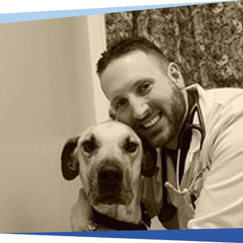 Dr. Casey J. Clark