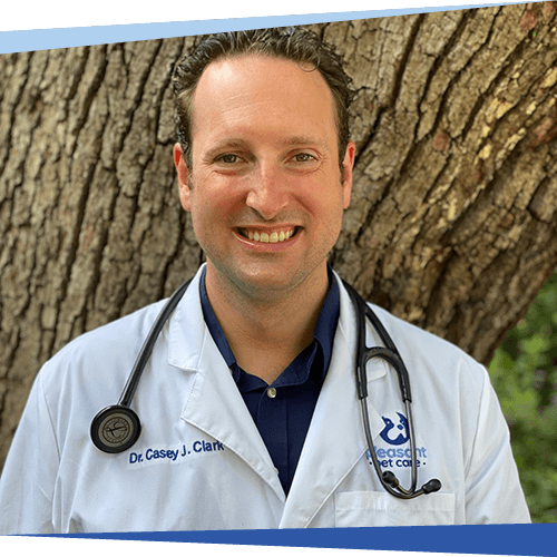 Dr. Casey J. Clark - Pleasant Pet Care