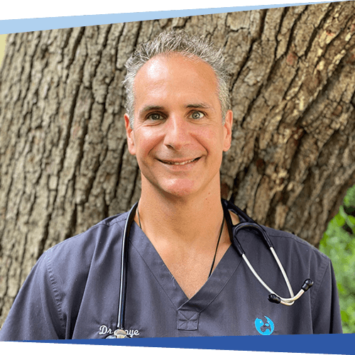 Dr. Brian Foye - Pleasant Pet Care