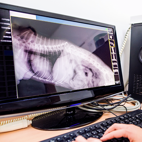 Diagnostic Imaging
