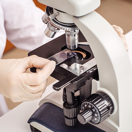 Laboratory Services