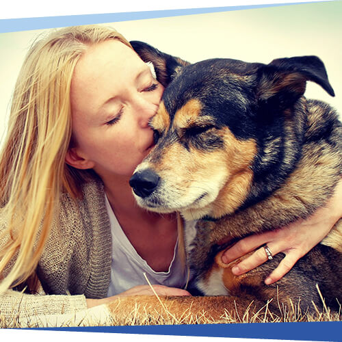 Pet Hospice Euthanasia Near Me 29464 Pleasant Pet Care   Hospice 