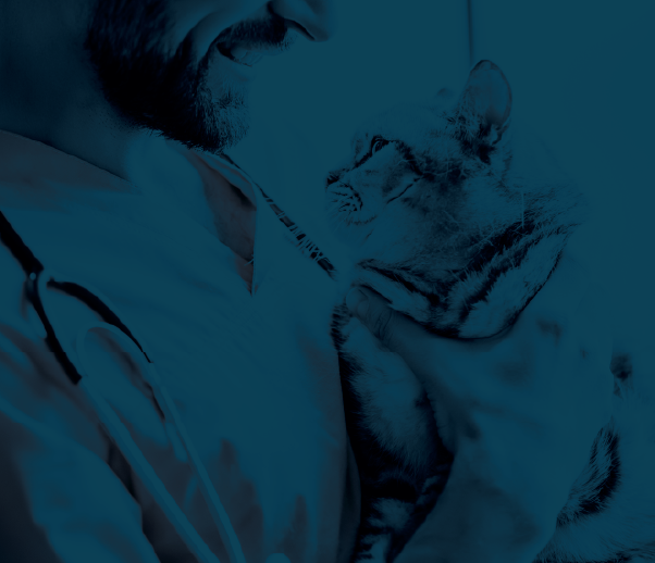 Male doctor holding a tabby cat.