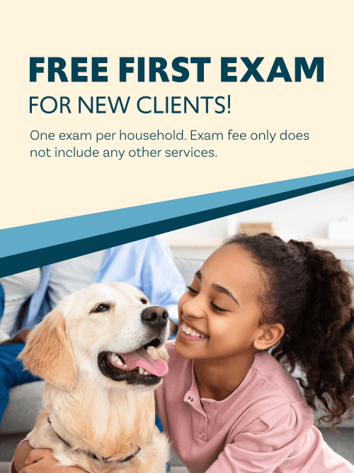 free first exam